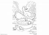 Pond Coloring Animals Pages Ducks Printable Kids Color Adults sketch template