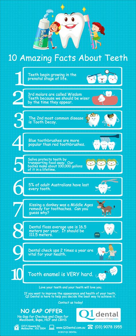 10 Amazing Facts About Teeth Q1 Dental