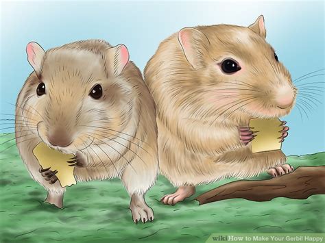 how to make your gerbil happy 12 steps with pictures wikihow