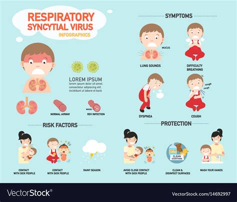 respiratory syncytial virus infographic royalty  vector