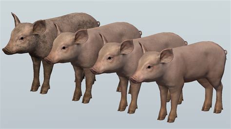 pig family unitystr