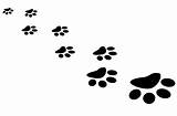 Paw Prints Background sketch template