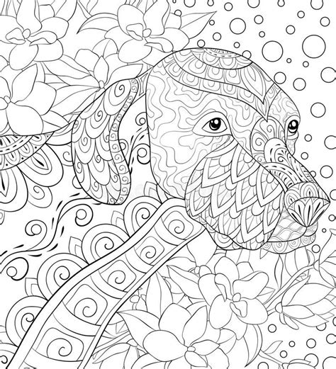 pin  barbara  coloring dog relaxing coloring book coloring pages