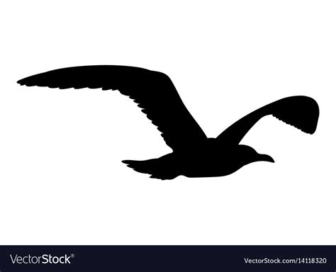 seagull flying silhouette isolated  white vector image