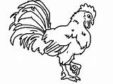 Rooster Coloring Pages Kids Scratching Soil Drawing Fight Getdrawings Getcolorings Printable Colouring Color Print sketch template