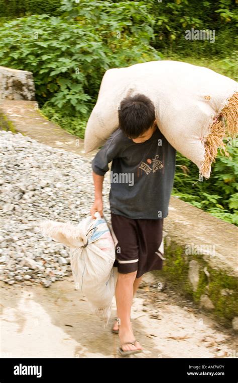 man carrying sack rice   res stock photography  images alamy