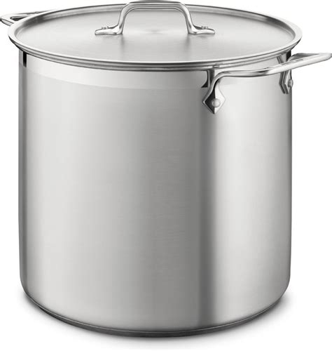 clad  stainless steel  quart stock pot  steamer insert
