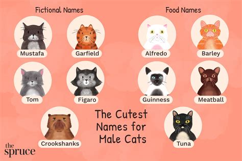 names  male cats