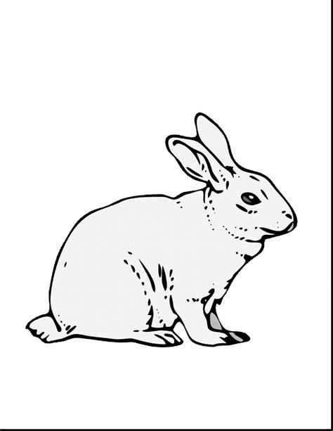 rabbit drawing images     drawings