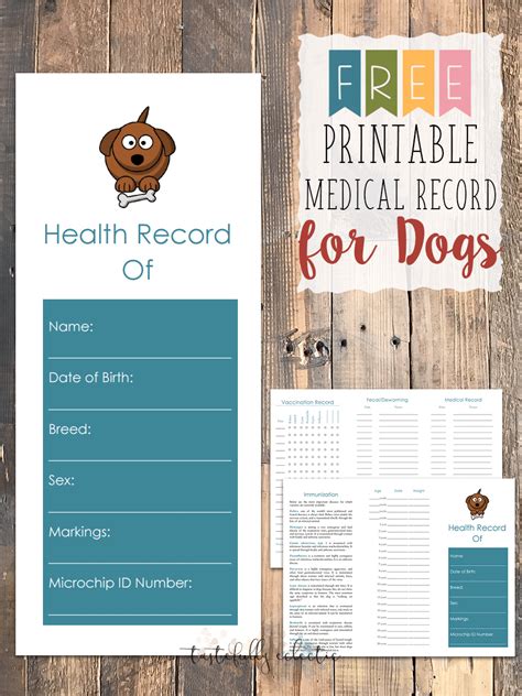 printable pet health record template business psd excel word