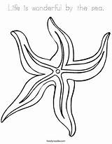 Starfish sketch template