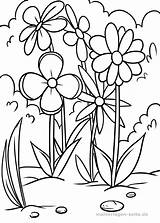 Blumenwiese Malvorlage Malvorlagen Pflanzen Meadow Wiese Ausdrucken Seite Wildflower Wiesen Natur sketch template