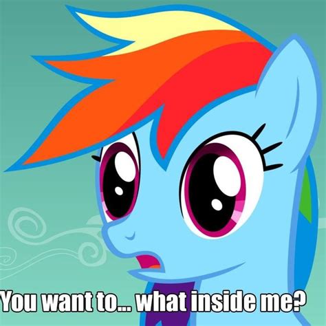 i want to cum inside rainbow dash know your meme
