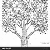 Coloring Tree Dogwood Pages Flowering Getcolorings Getdrawings sketch template