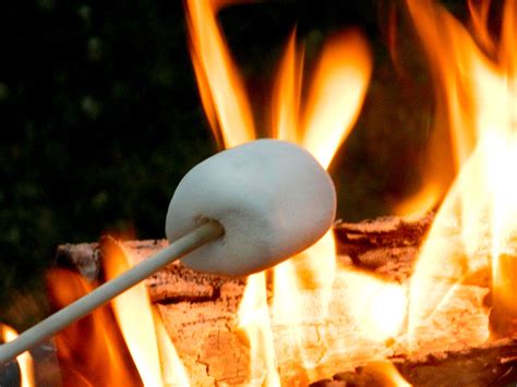roasting marshmallows roasting marshmallows roasting marshmallow