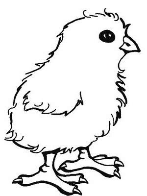 printable coloring pages chicken coloring pages animal coloring