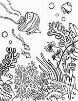 Reef Coral Coloring Pages Drawing Color Printable Kids Choose Board sketch template