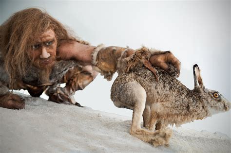caveman diet plan   clarify  myth