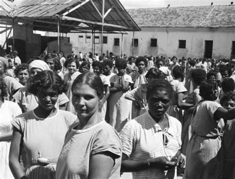 África no existe the “brazilian holocaust” in scenes