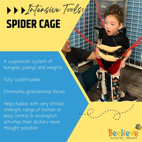 spider cage strength balance  kids