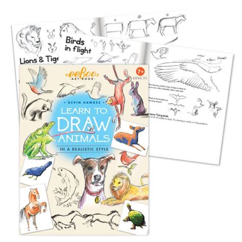 learn  draw animals art book lovewild design
