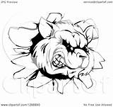 Aggressive Raccoon Breaking Illustration Through Wall Clipart Royalty Atstockillustration Vector 2021 sketch template