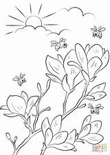 Coloring Spring Pages Branches Flowering Kids Puzzle Drawing sketch template