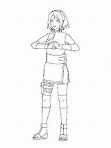 Sakura Coloring Haruno Pages Related sketch template