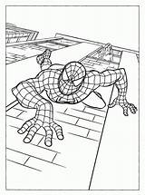 Spiderman Coloring Pages Printable Kids sketch template