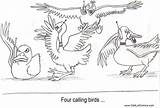 Calling Birds Four sketch template