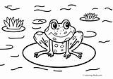 Coloring Pages Frog Nature Cartoon Scenes Sheets Frogs Kids Pond Printable Coqui Drawing Color House Toad Cycle Life Print Getcolorings sketch template