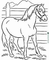 Horse Coloring Printable Pages Print Below Click sketch template
