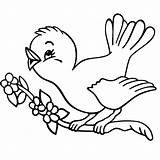 Vogeltje Leuk Vogels Tekeningen Tekenen Dieren Vogeltjes Leukvoorkids sketch template