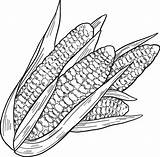 Cobs Maize Supercoloring sketch template