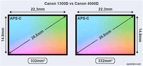 canon   canon  comparison review
