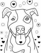 Pitbull Coloring Pages Print Color Pit Bull Kids Colouring sketch template