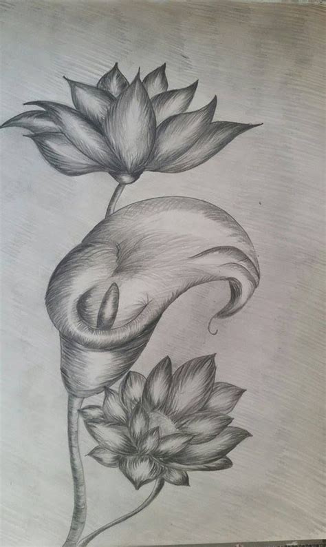 flori desen  creion painting drawing flower tattoo black  white tattoos drawings