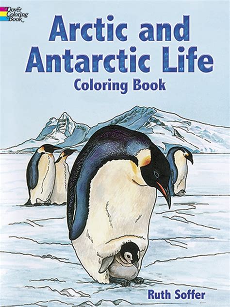 arctic  antarctic life coloring book dover nature coloring book