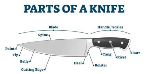 parts   knife parts knife anatomy   august