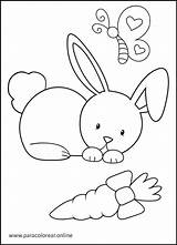 Conejos Dibujos Conejo Paracolorear sketch template
