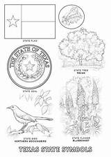 Coloring Pages Texas Symbols State Printable Worksheets Flag Color Flower sketch template