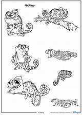 Pascal Chameleon Raiponce Spelling sketch template