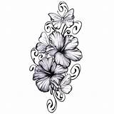 Hibiscus Fleurs Noir Tatouages Temporaires Lily Artweartattoo éphémères sketch template
