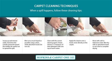 carpet cleaning tecnhiques cleaning techniques cleaning hacks