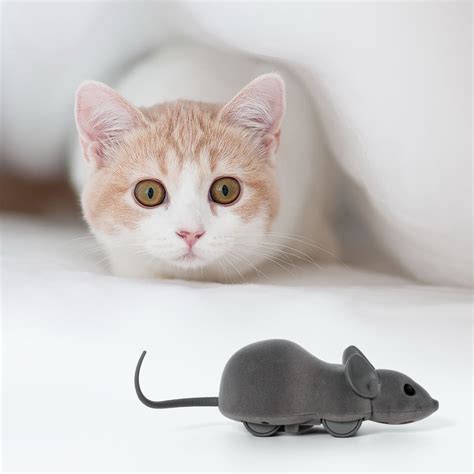 electronic remote control gray mouse cat toy  app  realistic