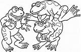 Frogs Reino Ranas Printable Experto Conviértete Salvajes Gustan sketch template