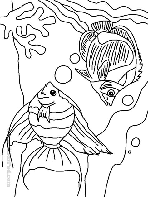cartoon sea animals coloring pages   fun  kids  color