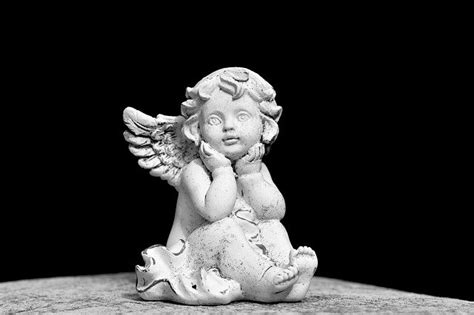 cherubs  angel wings art