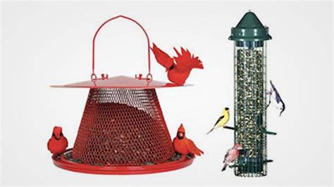 top   bird feeder  cardinals   reviews buying guide anemaa
