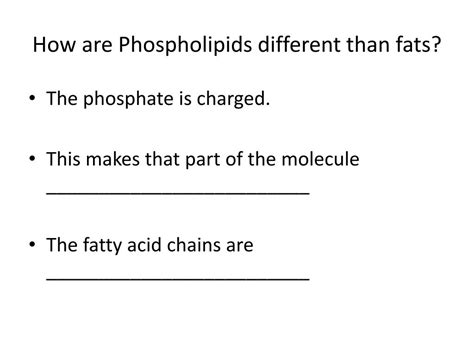 Ppt Chapter 5 Macromolecules Lipids Powerpoint Presentation Free